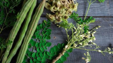 5 creative ways to incorporate Moringa into your weight loss diet"