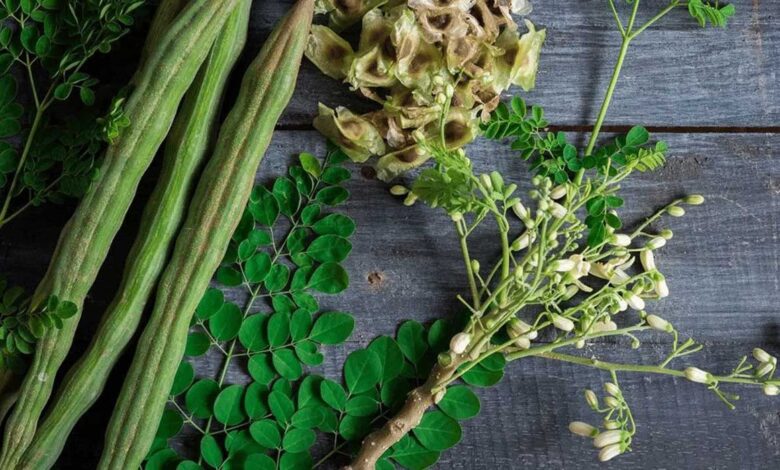 5 creative ways to incorporate Moringa into your weight loss diet"