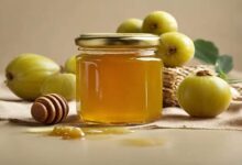 Amla and honey are effective for seasonal infections, know its 5 health benefits