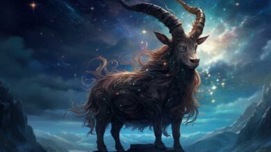Capricorn 2025: Changes in love, career and health
