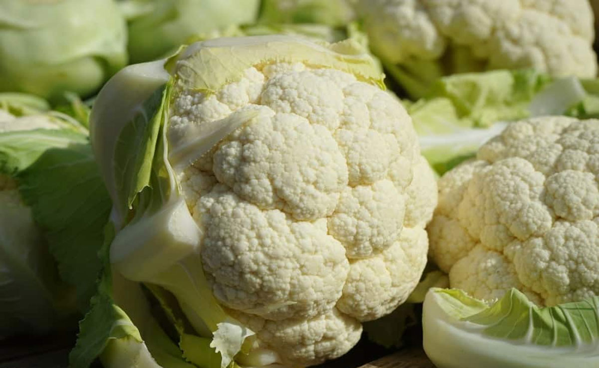 
Eating Cauliflower daily can cause these diseases, know its side effects