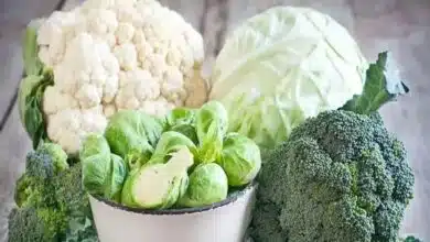 Cauliflower and cabbage worms can be dangerous for health, know the right way to clean them before cooking.