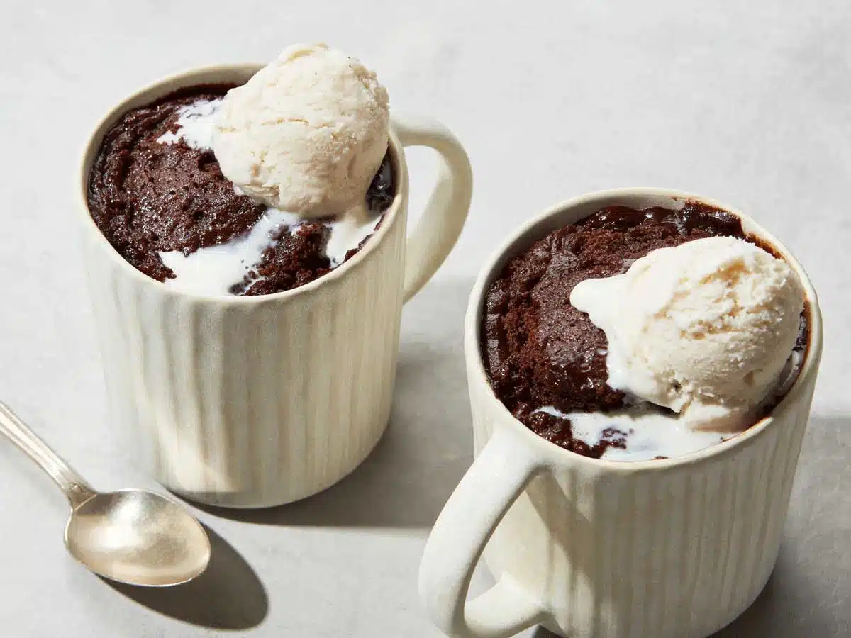 Chocolate Mug Cake recipe Enjoy delicious and fluffy cake made in 5 minutes