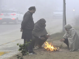 Cold wave, dense fog in Delhi, UP, MP and Haryana