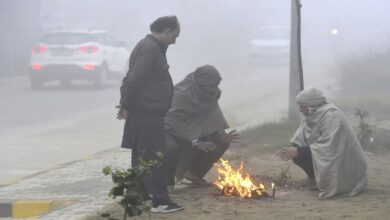 Cold wave, dense fog in Delhi, UP, MP and Haryana