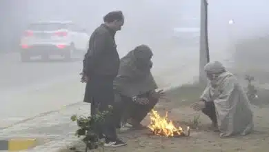 Cold wave, dense fog in Delhi, UP, MP and Haryana