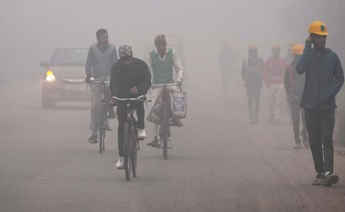 Mercury reaches 8.0 degrees Celsius in Delhi, IMD predicts rain