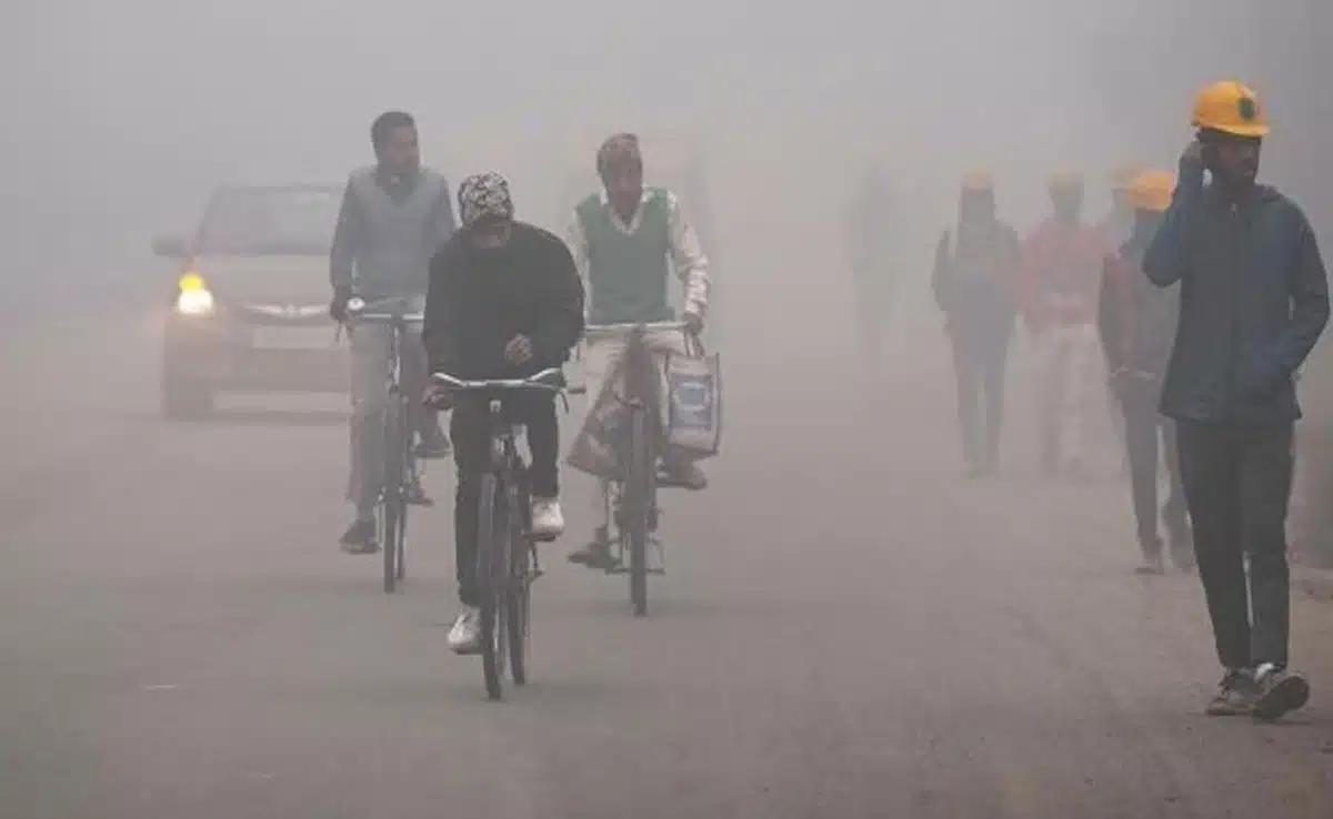 Mercury reaches 8.0 degrees Celsius in Delhi, IMD predicts rain