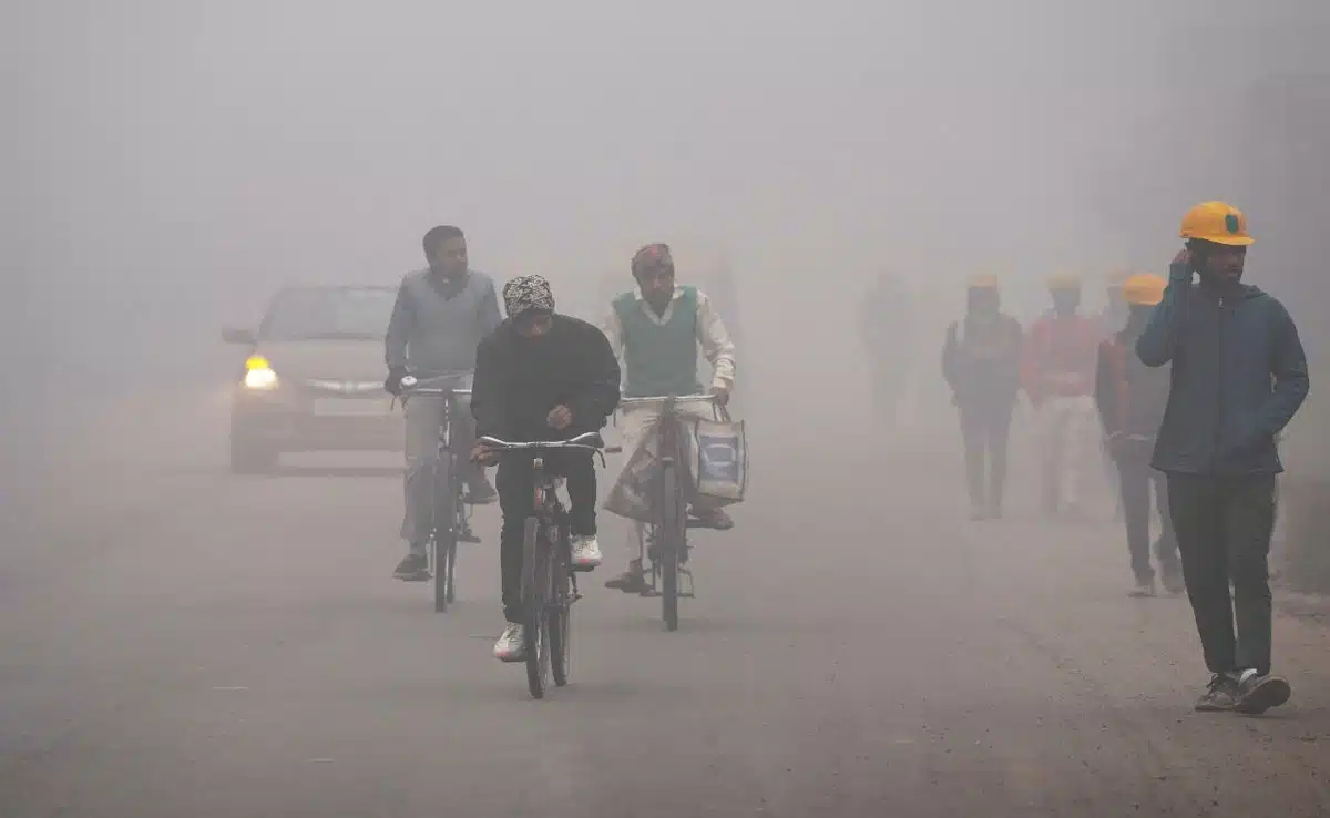 Visibility reduced due to fog in Delhi on Christmas; Trains delayed, airport issues travel advisory