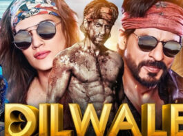 Dilwale: A unique story of love, family and adventure