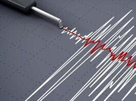 7.3 magnitude earthquake in Vanuatu, tsunami warning issued for coastal areas