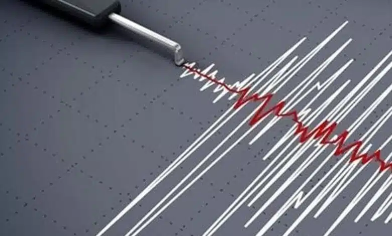 7.3 magnitude earthquake in Vanuatu, tsunami warning issued for coastal areas