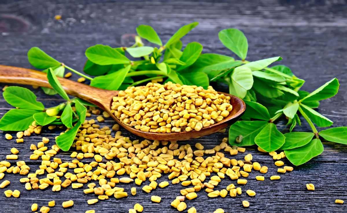 Fenugreek seeds are beneficial in controlling diabetes, know when and how to eat it