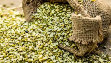 Know the health benefits of eating Green Moong Dal