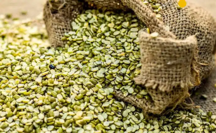 Know the health benefits of eating Green Moong Dal