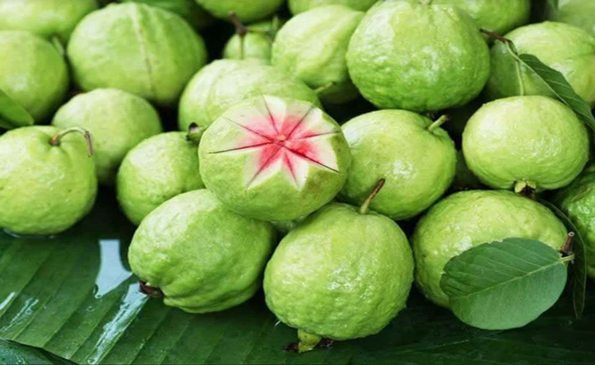 Eat this green fruit during the day to get rid of constipation and piles.