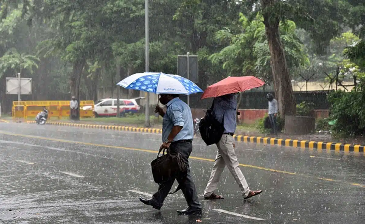 Mercury reaches 8.0 degrees Celsius in Delhi, IMD predicts rain