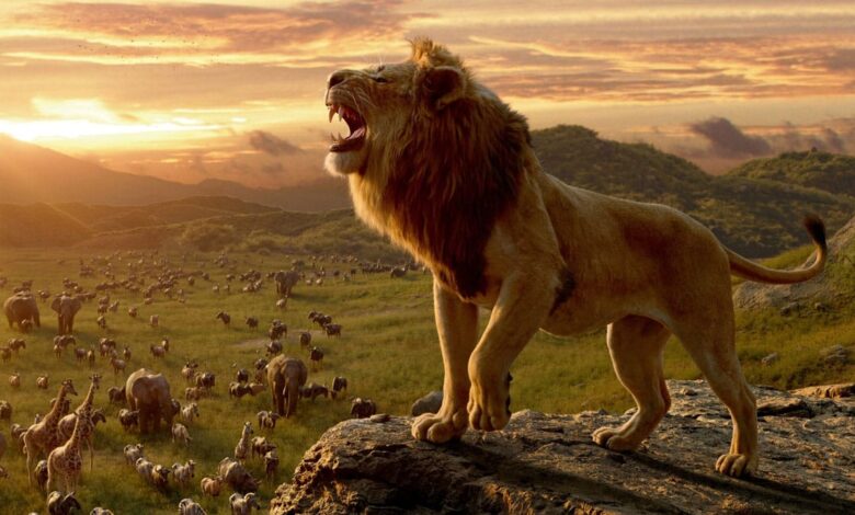 Mufasa Box Office Collection Day 3: Disney flick starring Shah Rukh Khan-Mahesh Babu earns a good Rs 35 crore