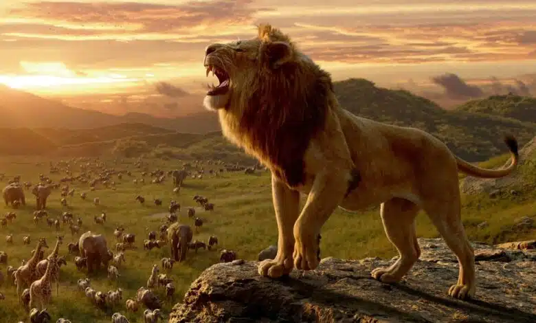 Mufasa Box Office Collection Day 3: Disney flick starring Shah Rukh Khan-Mahesh Babu earns a good Rs 35 crore