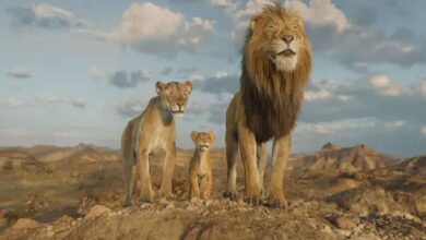 Mufasa film is giving tough competition to Pushpa 2, earning this much on the first day