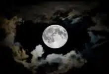 Paush Amavasya: When is Amavasya in December 2024, know the date and significance