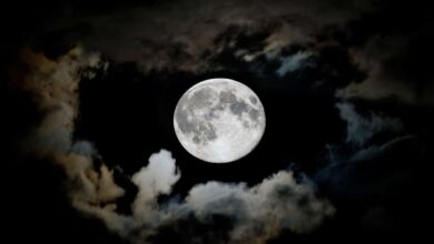 Paush Amavasya: When is Amavasya in December 2024, know the date and significance