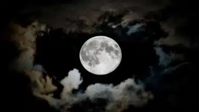 Paush Amavasya: When is Amavasya in December 2024, know the date and significance