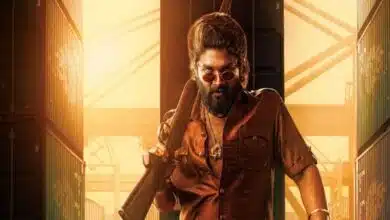 Pushpa 2 Box Office Collection Day 3: Allu Arjun's film close to crossing Rs 400 crore mark