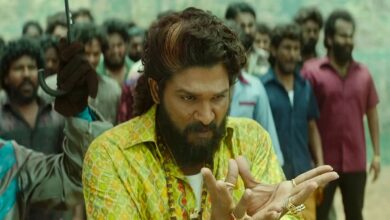 Pushpa 2 Box Office Collection Day 12: Allu Arjun's film records lowest numbers since its release