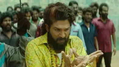 Pushpa 2 Box Office Collection Day 12: Allu Arjun's film records lowest numbers since its release