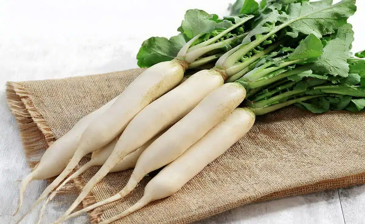 Radish is beneficial in bad cholesterol, know its other benefits