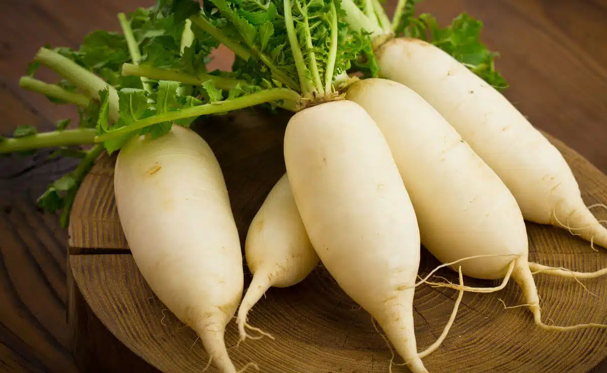 
This winter vegetable helps in reducing bad cholesterol