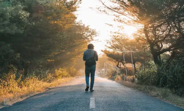 Should you go for a morning walk during high air pollution?