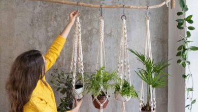Step-by-step guide to making a macrame plant hanger