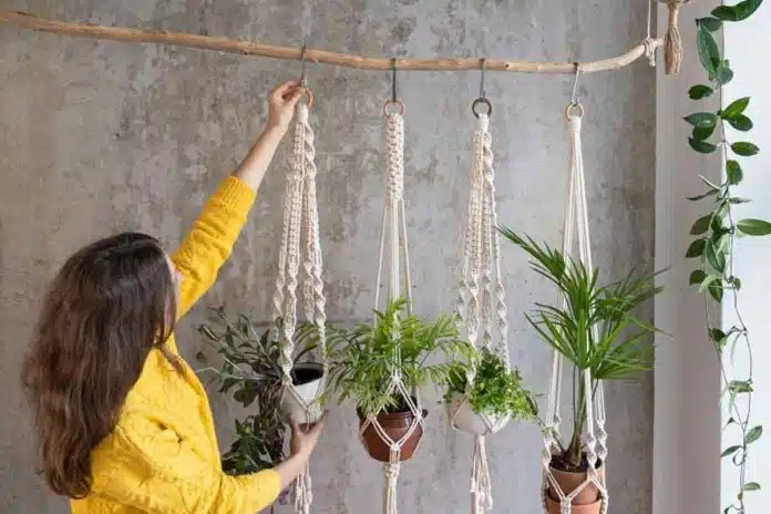 Step-by-step guide to making a macrame plant hanger