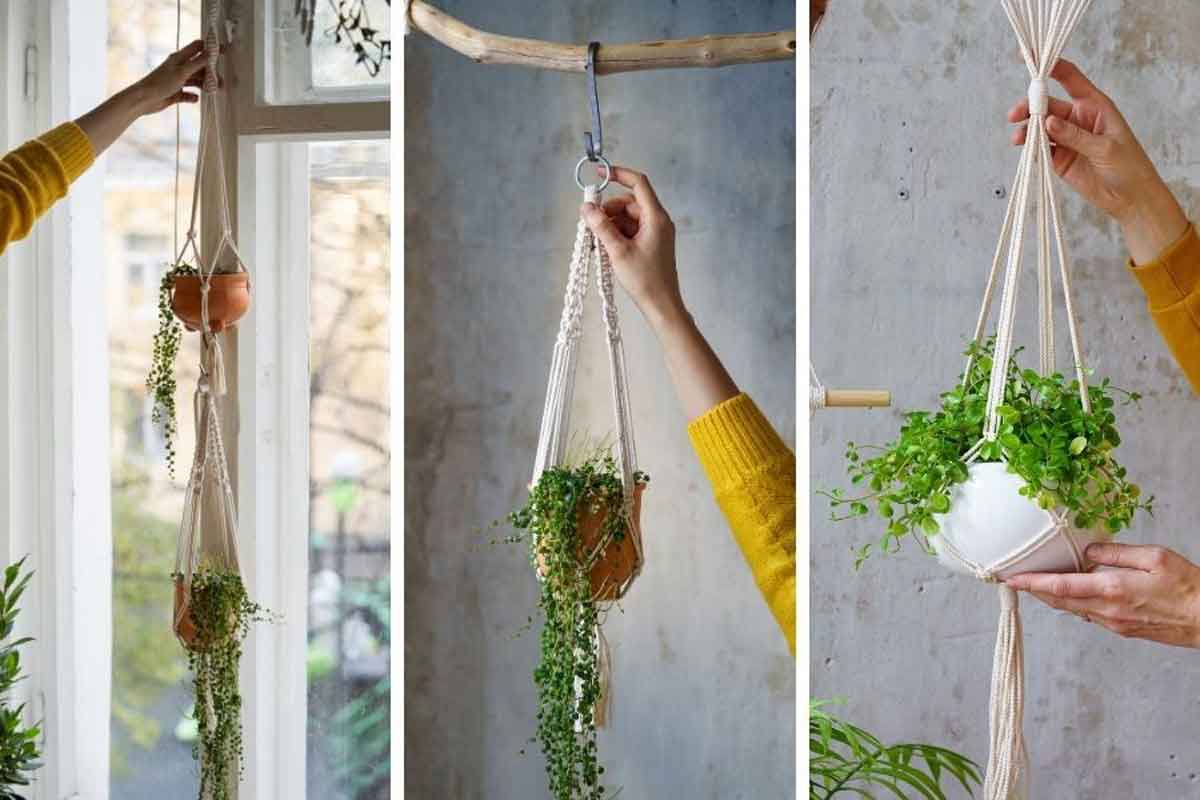 Step-by-step guide to making a macrame plant hanger