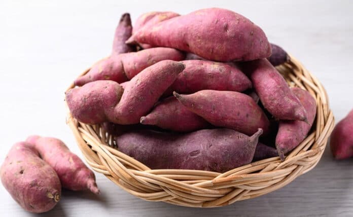 Sweet Potato: Know the 5 benefits of eating sweet potatoes in cold weather