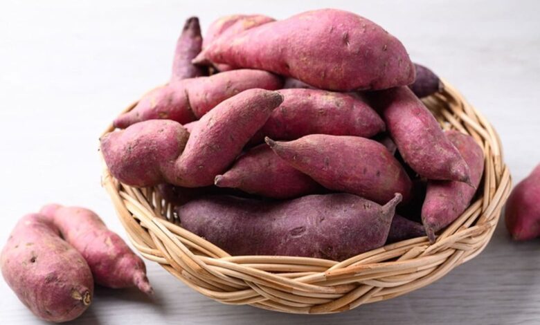 Sweet Potato: Know the 5 benefits of eating sweet potatoes in cold weather
