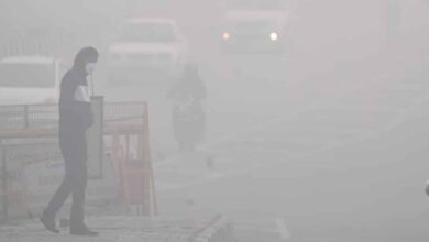 Mercury reaches 8.0 degrees Celsius in Delhi, IMD predicts rain