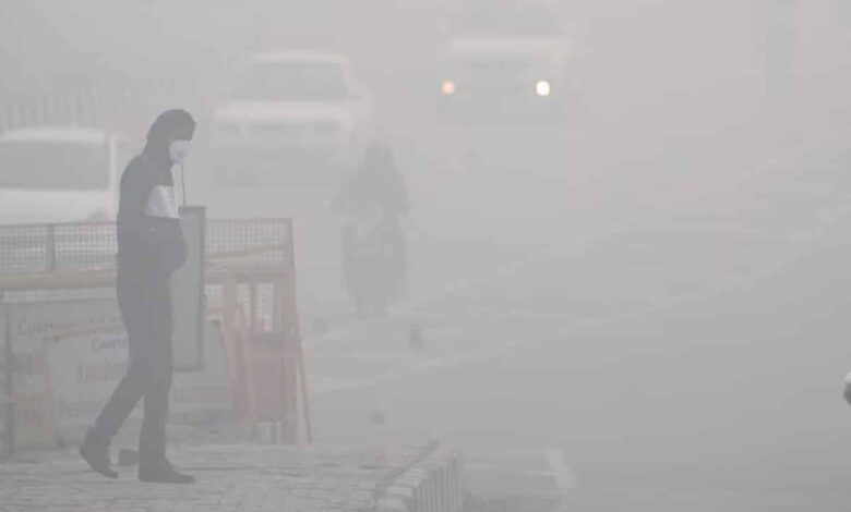 Mercury reaches 8.0 degrees Celsius in Delhi, IMD predicts rain