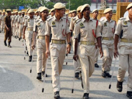 UP Police Constable 2024 DV Admit Card released, check steps to download