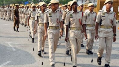 UP Police Constable 2024 DV Admit Card released, check steps to download