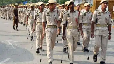 UP Police Constable 2024 DV Admit Card released, check steps to download