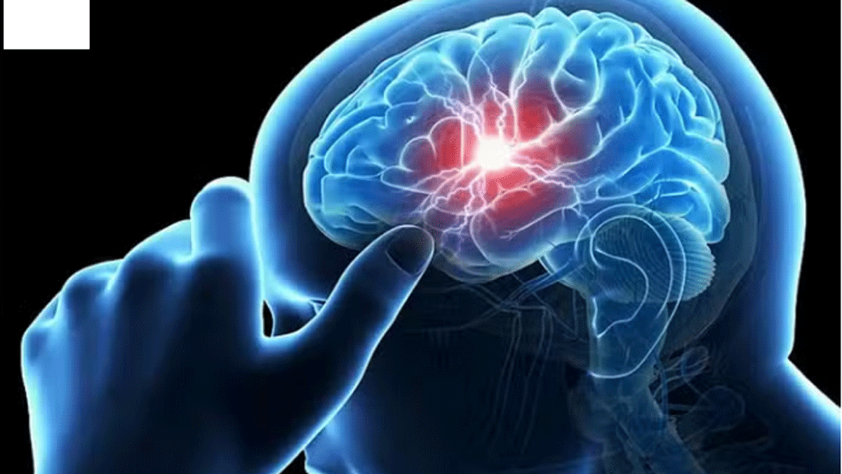 What are the different types of brain tumors