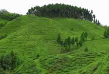 5 most beautiful states of India that will surprise you