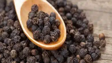 Health Benefits of Eating Black Pepper Regularly