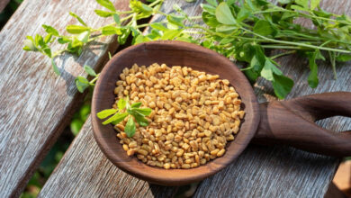 Fenugreek seeds are beneficial in controlling diabetes, know when and how to eat it