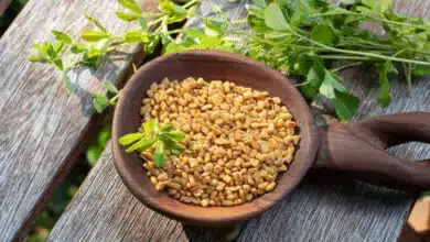 Fenugreek seeds are beneficial in controlling diabetes, know when and how to eat it