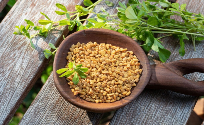 Fenugreek seeds are beneficial in controlling diabetes, know when and how to eat it