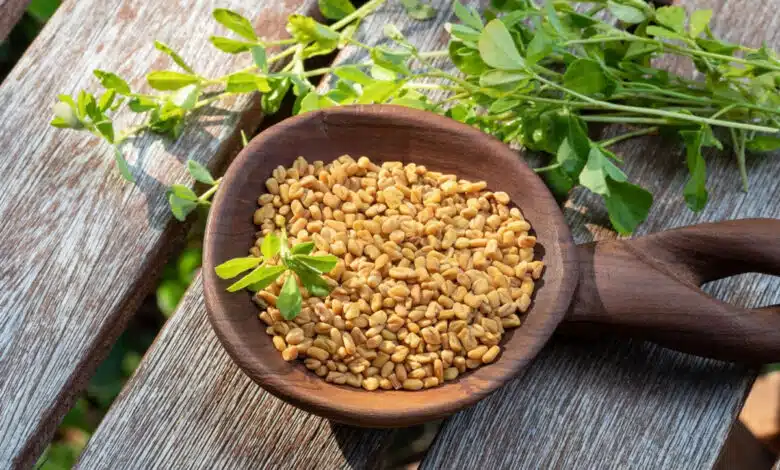 Fenugreek seeds are beneficial in controlling diabetes, know when and how to eat it